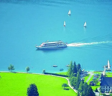 Rotspitz Adults - Only 3*