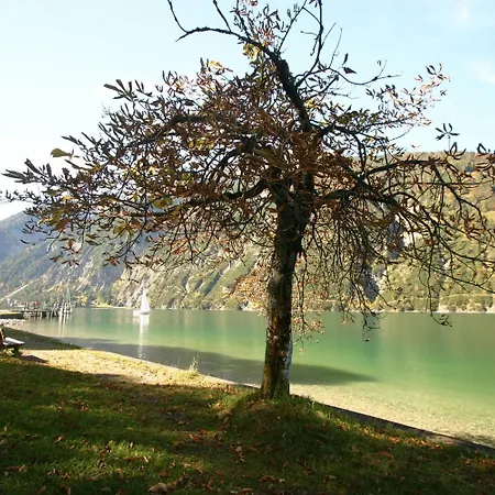 Rotspitz Adults - Only