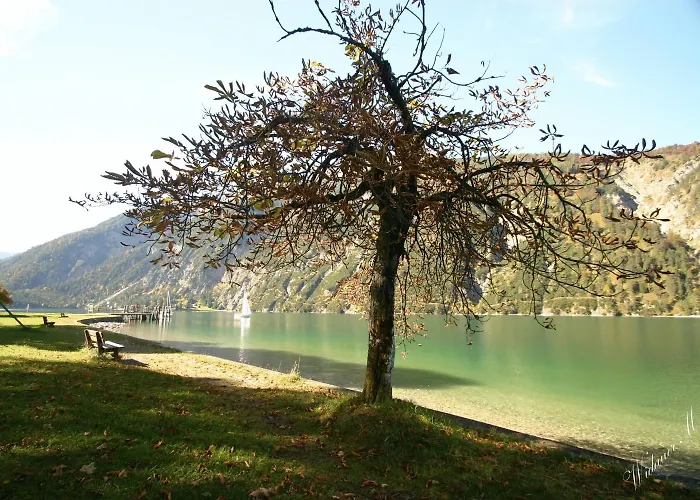 Rotspitz Adults - Only