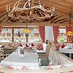 Rotspitz Adults - Only