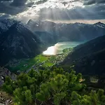 Rotspitz Adults - Only