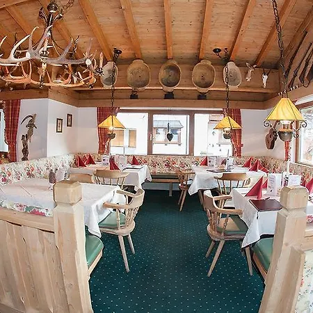 Rotspitz Adults - Only