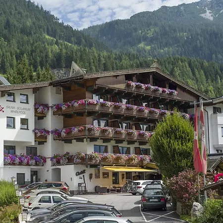 Rotspitz Adults - Only