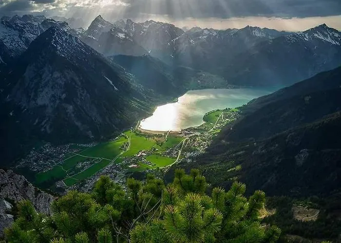 Rotspitz Adults - Only