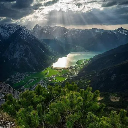 Rotspitz Adults - Only