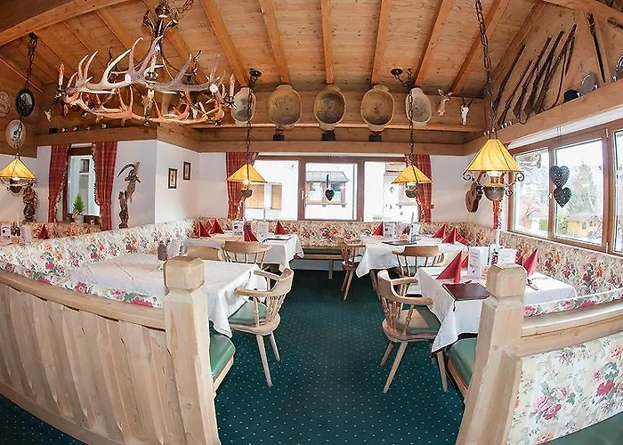 Rotspitz Adults - Only