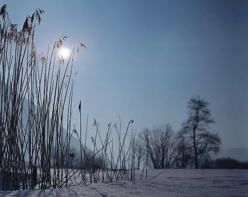 Hotel Rotspitz Adults - Only Maurach (Achensee)